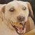 :iconvictordragon747: