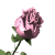 :iconvictoriaart14: