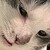 :iconvictoriajeanette: