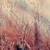 :iconvictorianeyre: