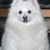 :iconvictorvoyard: