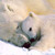 :iconvictory414: