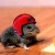 :iconvictoryfrog: