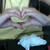 :iconvietan123: