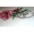 :iconvietuser619: