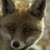 :iconvieuxsolitaire: