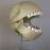 :iconviewpointcharacter: