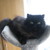 :iconviewsoniv: