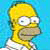 :iconvigstarmax: