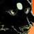:iconvikingkinglupus: