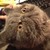 :iconviktoriavondaniken: