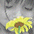 :iconviktory-rrr: