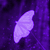 :iconvilegraphix:
