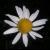 :iconvilhelm95: