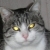 :iconVilith: