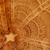 :iconvill-e: