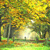:iconvillagegreen-society: