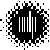 :iconvim-xxx: