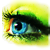 :iconvin-dic-tive: