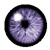 :iconvince-n-zo: