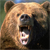 :iconvincent-giovanni: