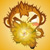 :iconvincentcc07: