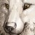 :iconvincentmetal: