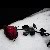 :iconvincentsnowcrow: