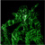 :iconvincentvchaos: