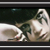 :iconvincer: