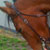 :iconvindicatedgrafix: