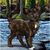 :iconvinespeck: