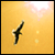 :iconvintage-cruiser: