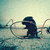 :iconvintagefoto: