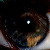 :iconvintagelullabies:
