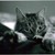 :iconvintagesmiles:
