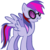 :iconvinyldash: