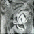 :iconviolaceous-fox: