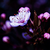 :iconviolatedraindrop:
