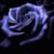 :iconviolent-berry:
