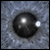 :iconviolent-reveries: