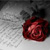 :iconViolent-Romance: