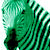:iconviolentzebra: