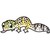 :iconviolet-lizardlover: