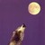 :iconviolet-moon7: