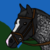 :iconviolet-river-equines: