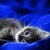 Violet428 :iconviolet428: