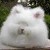 :iconviolet8888: