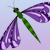 :iconvioletdragonfly26: