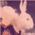 :iconvioletmarigold: